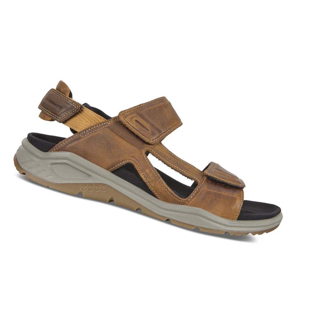 Men\'s Ecco X-trinsic Flat Sandals Brown | Canada 592LIS